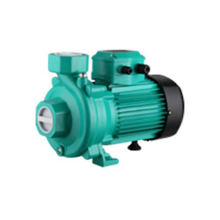 Центробежный циркуляционный насос Fancy PUN-1100 156PUN30008 SS304